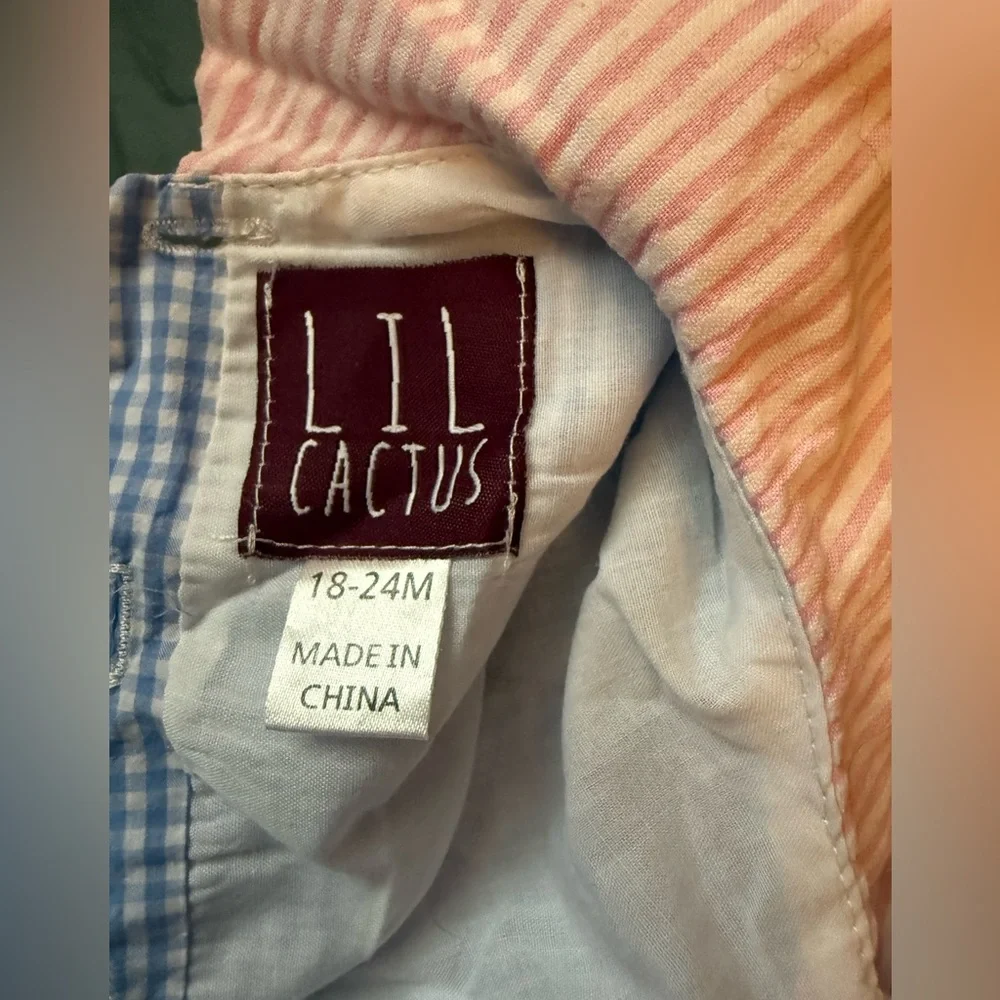 Lil cactus searsucker Blue and Pink Whale bubble Romper for girls
